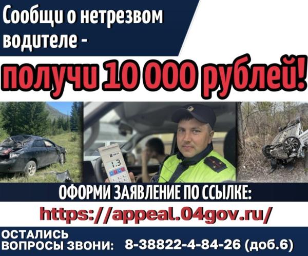 Сообщи о нетрезвом водителе