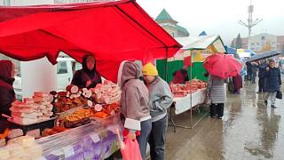 Началась республиканская сельскохозяйственная ярмарка