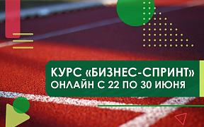 Курс «Бизнес-спринт» для подготовки к подаче заявки на грант для социальных предприятий