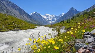 Республика Алтай будет представлена на международной выставке MITT-2025