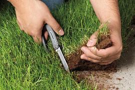 Предлагается ужесточить порядок изъятия земельного участка из земель сельскохозяйственного назначения