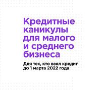 Бизнес получит отсрочку на полгода по кредитам, полученным до 1 марта 2022 года