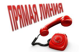 Прямая линия по антикоррупционному просвещению