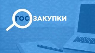 ГОСЗАКУПКИ: Консультации малого бизнеса по закупкам