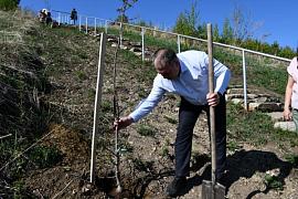 Посадка деревьев к 100-летию создания экономической службы Горного Алтая