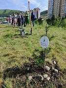 Присоединились к акции "Сад памяти"