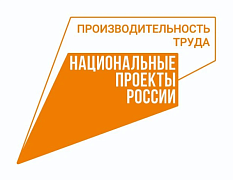 Итоги реализации регионального проекта «Производительность труда» за 2025 год