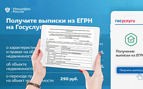 Сведения из Единого государственного реестра недвижимости