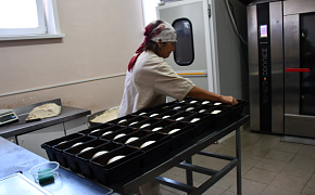 Модернизация производственных процессов бизнеса в Шебалинском районе