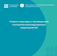 Новые подходы  к проведению контрольных (надзорных) мероприятий