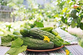 Что происходило с ценами в Республике Алтай в марте?