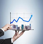 Представлен отчет об исполнении Стратегии социально-экономического развития Республики Алтай за 2020 год