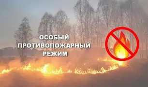 На всей территории Республики Алтай с 27 апреля установлен особый противопожарный режим