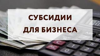Единая субсидия субъектам туристской индустрии