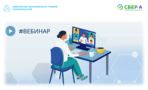 Актуальные вопросы применения законодательства о контрактной системе