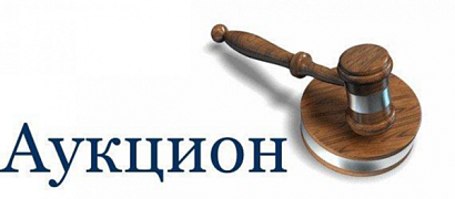 Предлагаем принять участие в аукционе в электронной форме по продаже государственного имущества Республики Алтай